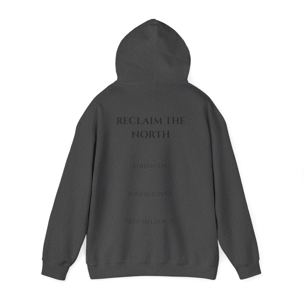Reclaim The North Hoodie