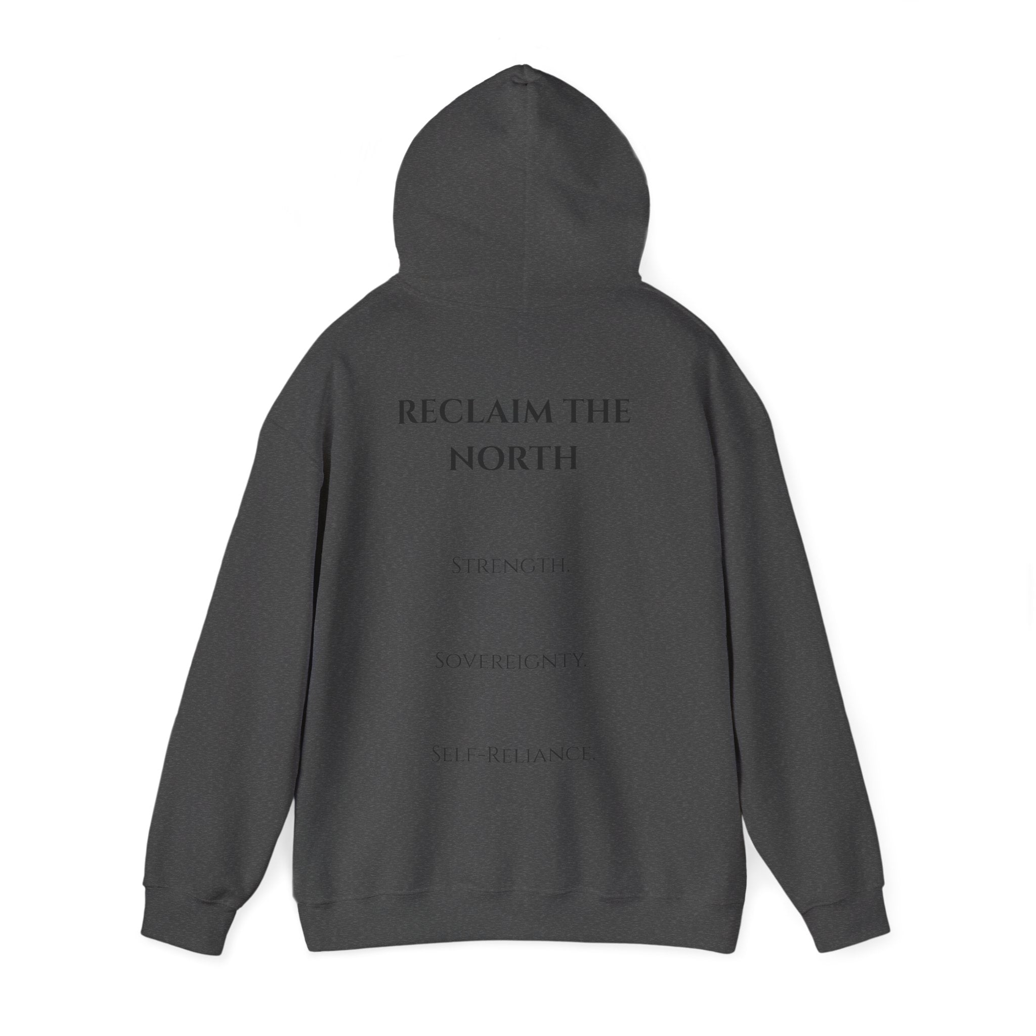Reclaim The North Hoodie